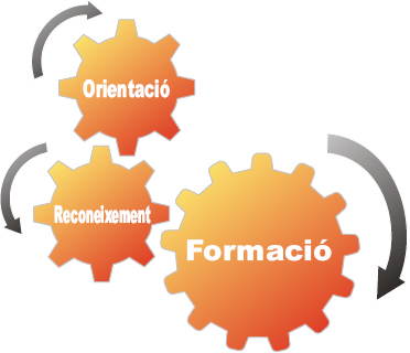 Esquema programa Qualifica't