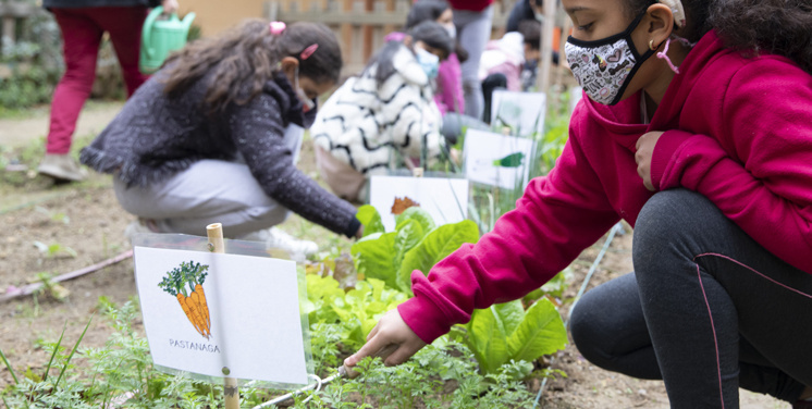 Ahora, aquí, por el planeta. Barcelona Capital Mundial de la Alimentación Sostenible 2021