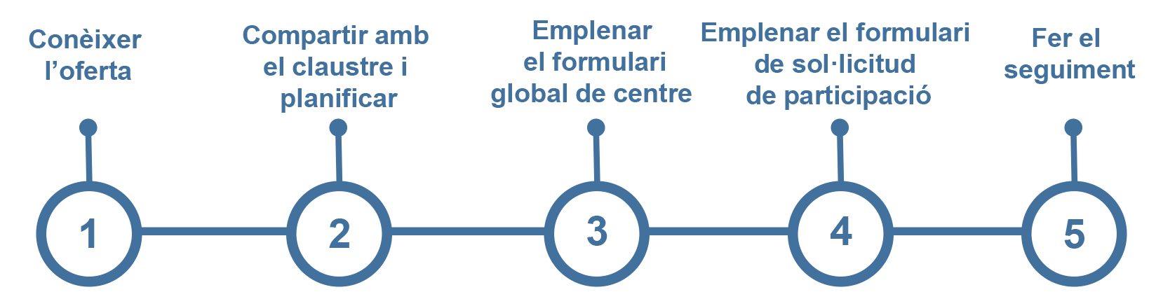 orientacions per triar programes: conèixer l'oferta, compartir amb el claustre, formulari global, formulari de programa, resolució de cada programa